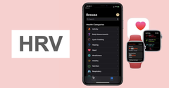  HRV trên Apple Watch là gì? Cách để theo dõi HRV trên thiết bị 
