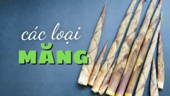  Tổng hợp các loại măng tươi, măng tre ăn được phổ biến tại Việt Nam 