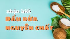  Cách nhận biệt dầu dừa nguyên chất và cách phân biệt dầu dừa thật và giả 