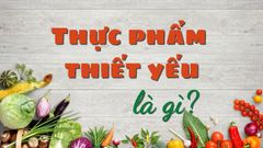  Thực phẩm thiết yếu là gì? Danh sách thực phẩm thiết yếu bạn nên biết 