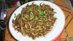 2 cách làm cá lòng ròng kho tiêu thơm ngon đậm đà cho bữa cơm 