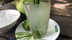  Cách làm nước dừa nha đam thanh mát giải nhiệt cơ thể 