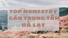  Top 20 homestay đẹp ở Đà Lạt gần trung tâm có view sống ảo cực chất 