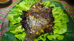  Cách làm cá mặt trời nướng thơm ngon lạ miệng dễ làm ăn là ghiền 