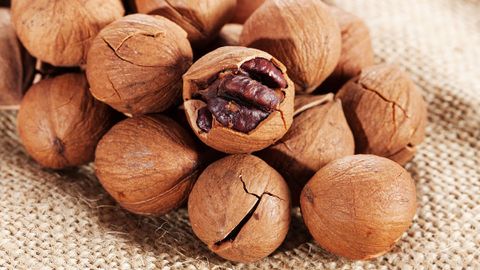 Hạt hickory là gì? Tác dụng của hạt hickory và cách sử dụng