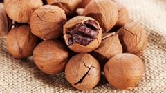  Hạt hickory là gì? Tác dụng của hạt hickory và cách sử dụng 