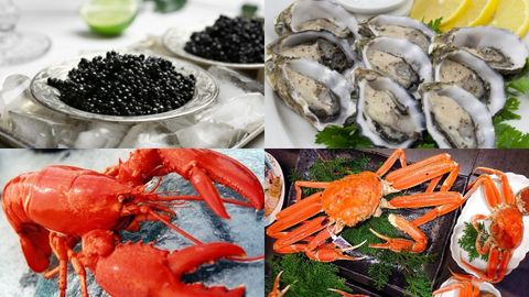 Khám phá những loại hải sản đắt tiền, hải sản quý hiếm nhất thế giới