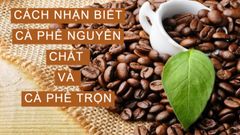  Cách nhận biết cà phê nguyên chất và cà phê trộn chính xác nhất 
