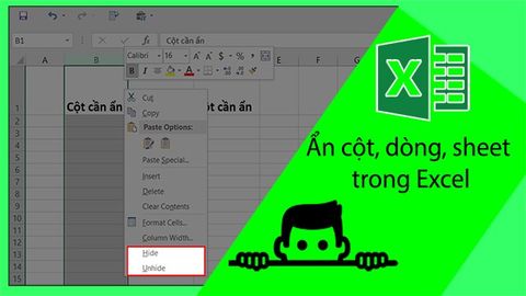 3 cách ẩn cột, dòng, sheet, trong Excel 2010, 2013, 2016, 2020