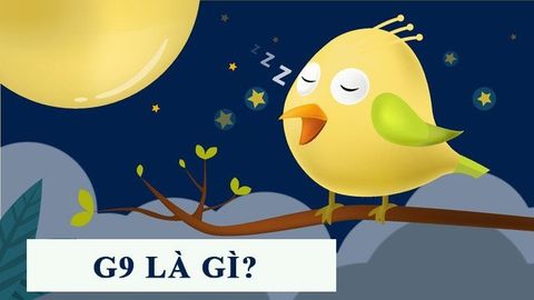 G9 là gì? Nguồn gốc, ý nghĩa và cách dùng từ G9
