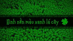  100+ Hình nền màu xanh lá cây cho Powerpoint, máy tính, điện thoại 