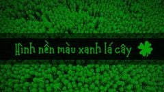  100+ Hình nền màu xanh lá cây cho Powerpoint, máy tính, điện thoại 