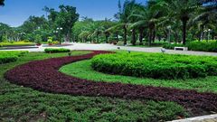  Công viên Gia Định: Ở đâu, chỗ gửi xe, giá vé, ăn gì, chơi gì? 