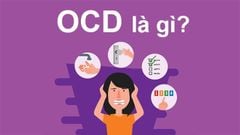  OCD là gì? Nguyên nhân, dấu hiệu hội chứng rối loạn ám ảnh cưỡng chế 