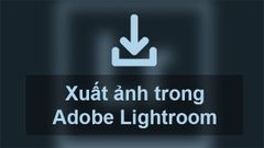  Cách xuất ảnh (export ảnh) trong Lightroom trên điện thoại và máy tính 