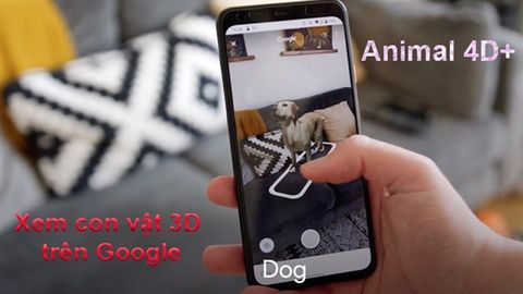 Hướng dẫn 2 cách xem con vật 3D trên Google bằng điện thoại đơn giản