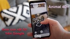  Hướng dẫn 2 cách xem con vật 3D trên Google bằng điện thoại đơn giản 