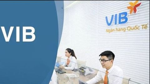 Cách liên hệ tổng đài và giờ làm việc của ngân hàng VIB mới nhất