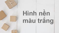  100+ Hình nền, background trắng đẹp full HD cho máy tính, điện thoại 