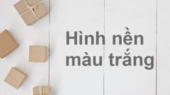  100+ Hình nền, background trắng đẹp full HD cho máy tính, điện thoại 