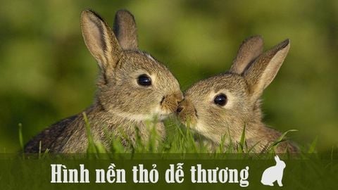 Ngôi làng thơ mộng của tôi 6K tải xuống hình nền