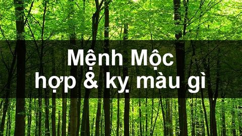 Mệnh Mộc hợp màu gì, kỵ màu gì? Năm sinh những người thuộc mạng Mộc