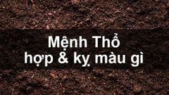  Mệnh Thổ hợp màu gì, kỵ màu gì? Năm sinh những người thuộc mạng Thổ 