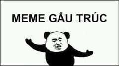  Tổng hợp 100+ meme gấu trúc bựa, hài, ngộ nghĩnh, đáng yêu, tức giận 