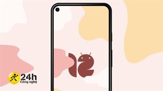 Đã có hình nền Android 12 mới nhất với màu sắc sống động và tinh tế, có 4 chủ đề cho bạn tha hồ lựa chọn