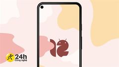 Đã có hình nền Android 12 mới nhất với màu sắc sống động và tinh tế, có 4 chủ đề cho bạn tha hồ lựa chọn 