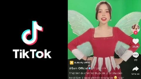 Cách quay video filter cánh bướm Butterfly Effect Winx trên TikTok
