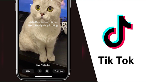 Cách tải video trên TikTok khi không có nút lưu hiệu quả nhất