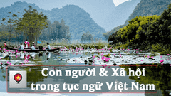  Những câu tục ngữ Việt Nam về con người và xã hội hay 