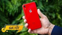  Còn gì hấp dẫn hơn khi iPhone Xr giảm sốc đến 1.5 triệu đồng trong tháng 11, giá quá ngon luôn đấy sắm đi chờ chi 