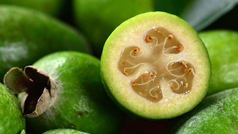 Ổi dứa - Feijoa là quả gì? Các tác dụng của ổi dứa và nơi mua