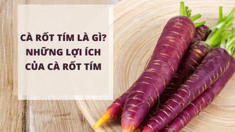 Cà rốt tím là gì? Cà rốt tím mua ở đâu và có lợi ích gì?