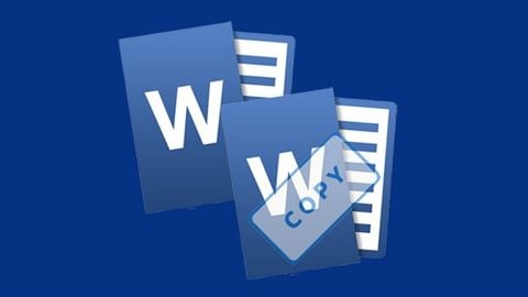 Cách sao chép 1 trang tài liệu trong Word, copy nguyên 1 trang nhanh, đơn giản