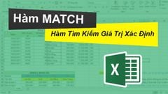  Cách sử dụng hàm MATCH tìm kiếm giá trị xác định trong Excel chi tiết, có ví dụ dễ hiểu 