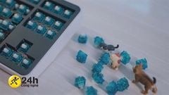  Switch trên bàn phím cơ là gì? Các loại switch nào phổ biển nhất hiện nay? Bài viết sau đây sẽ giải đáp cho bạn 