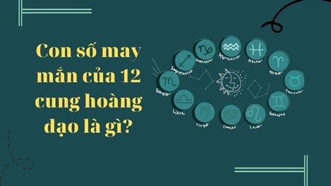 Con số may mắn của 12 cung hoàng đạo | Những ý nghĩa thú vị đằng sau