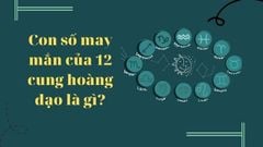  Con số may mắn của 12 cung hoàng đạo | Những ý nghĩa thú vị đằng sau 