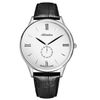 Đồng hồ Nam Skagen SKW6454