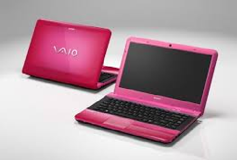 Sony Vaio Vpc-Ea45Fg