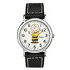 Đồng hồ Nam Skagen SKW6654