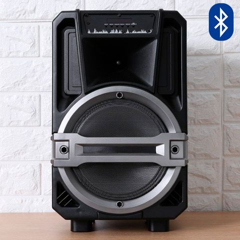 Loa Kéo Karaoke Enkor L0810K Đen 25W