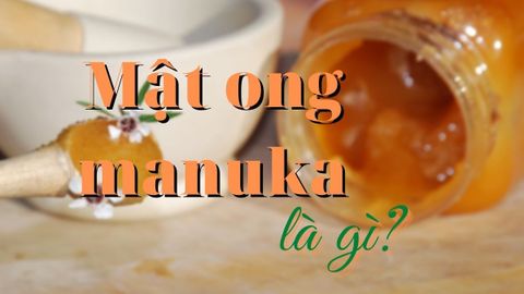 Mật ong manuka là gì? Bao nhiêu calo và tác dụng của mật ong manuka