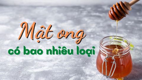 Mật ong có bao nhiêu loại? Điểm mặt các loại mật ong phổ biến hiện nay