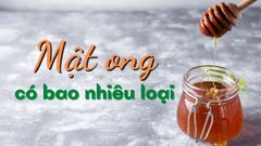  Mật ong có bao nhiêu loại? Điểm mặt các loại mật ong phổ biến hiện nay 