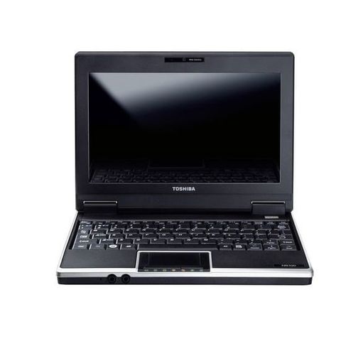 Toshiba Nb100-113