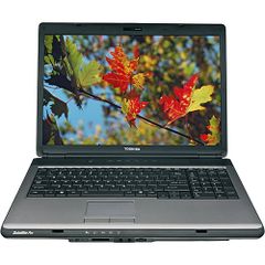  Toshiba Satellite Pro L350-S1701 